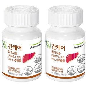 풀무원건강생활 간케어 밀크씨슬 추출물, 2개, 60정
