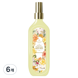 올가힐링스 new 프레스티지 퍼퓸 바디 미스트 유러피안 가든, 6개, 100ml