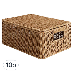 네이쳐리빙 데이지가든 뚜껑 라탄바구니, 10개