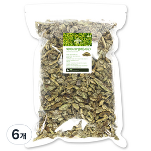 드랍쉽 회화나무열매 괴각, 1kg, 6개