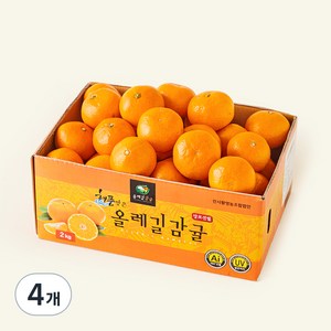 올레길 AI 당도선별 11brix 감귤, 2kg(로열과), 4개