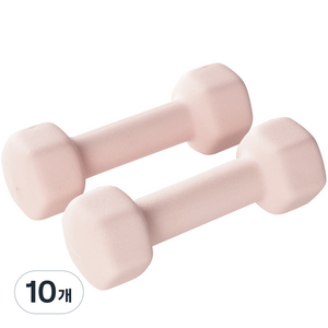 앳플리 LW 미용 아령, 2kg, 10개