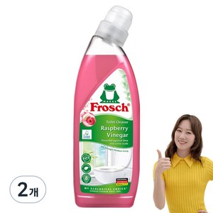 프로쉬 변기세정제 라즈베리, 750ml, 2개