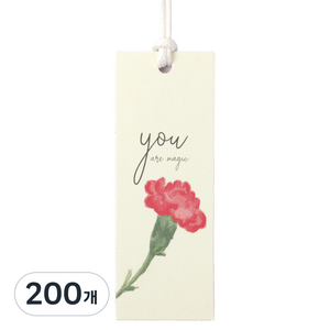 인디케이 매직 카네이션 텍 100p, 혼합색상, 200개