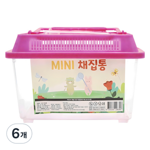 아가플러스 컴팩트 곤충 채집통 핑크, 6개
