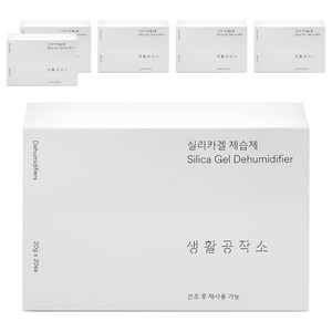 생활공작소 실리카겔 제습제 본품, 400g, 6개