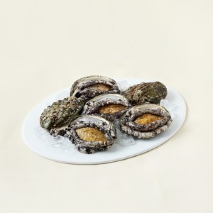 완도맘 산지직송 활전복 왕왕특대 6마리 1kg + 솔 랜덤발송 세트, 1세트 골드박스 특가