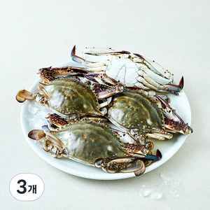 산지직송 서해안 일품 햇 꽃게 (냉장), 3개, 1kg