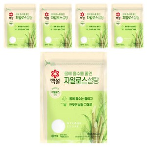 백설 자일로스 설탕, 1kg, 5개