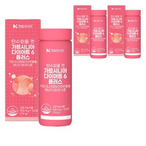 엔탑라이프 탄수화물 컷 가르시니아 다이어트6 플러스 114g, 120정, 3개