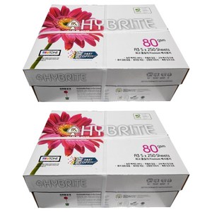하이브라이트 복사용지 80g, A3, 2500개
