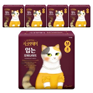 시크릿데이 하트 입는 오버나이트 팬티, 중형, 4개입, 5개