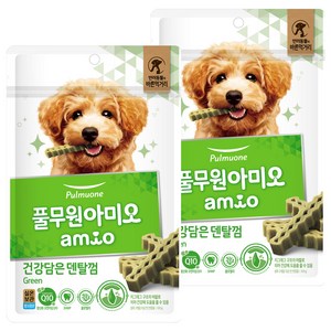 풀무원아미오 강아지 건강담은 덴탈껌, 그린, 100g, 2개