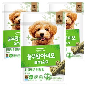 풀무원아미오 강아지 건강담은 덴탈껌, 그린, 100g, 3개