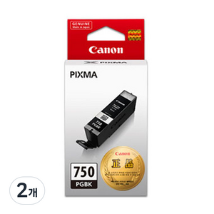 캐논 잉크 카트리지 PGI-750PGBK, 블랙, 2개