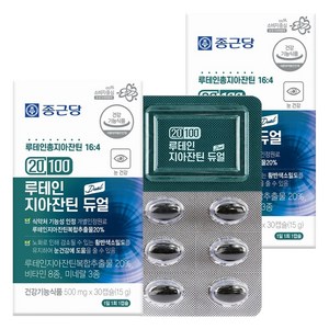 종근당 20100 루테인 지아잔틴 듀얼, 30정, 2개