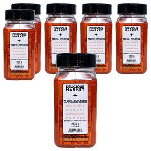딜리셔스마켓 캡사이신 양념 분말 중형, 250g, 6개