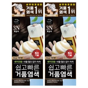 미쟝센 쉽고 빠른 거품 염색 새치전용, 3N흑갈색, 2개