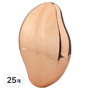 지음앤 발 각질 제거기 골드로즈, 25개, 100g
