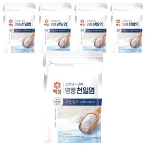 백설 오천년의 신비 가는입자 천일염, 5개, 250g