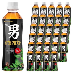 광동진한헛개차, 340ml, 48개