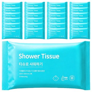 오웰 물 없이 샤워하는 도톰한 샤워티슈 대형, 100g, 1매, 25개