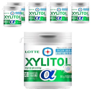 롯데자일리톨 알파 오리지날, 86g, 6개