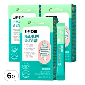이너랩 차전자피 가르시니아 슬리밍 환, 110g, 6개