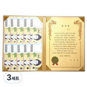 럭키심볼 황금 카네이션 숨어있는 용돈 DIY 속지 + 감사장 케이스 세트, 장모님, 3세트