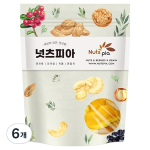 넛츠피아 건망고 슬라이스, 6개, 150g