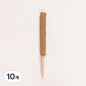 플레노 코코봉 식물지지대 우드 슬림형 40cm, 10개
