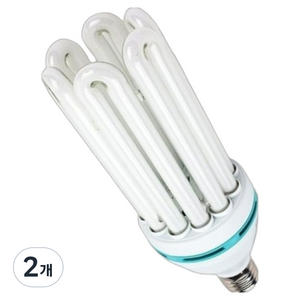 블루밍 EL 삼파장전구 100W EL 100 EX-D, 주광색, 2개