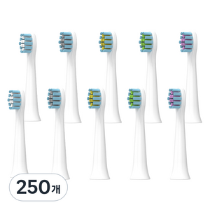 SKY 케어 C타입 충전식 소닉 음파 전동칫솔 교체용 칫솔모, SKY-CA-B10p_ST10, 250개