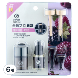 불스원 뉴 그라스 미니 송풍구 차량용 디퓨저 10ml 본품 + 10ml 리필, 블랙베리&체리, 6개