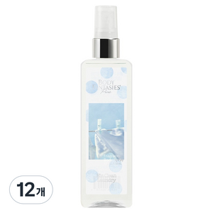 바디판타지 퓨어 히즈 클린 런더리 프래그런스 바디 스프레이 포근한 비누향, 12개, 118ml