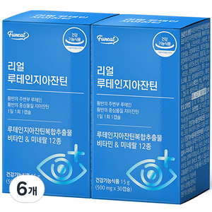 퍼니트 리얼 눈건강 루테인 지아잔틴, 30정, 6개