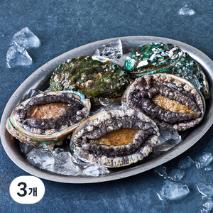 완도맘 활전복 (냉장), 500g 내외(특대, 5마리), 3개