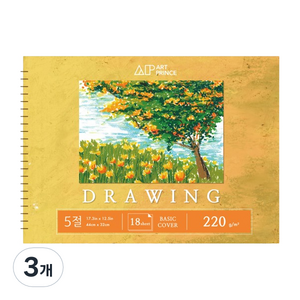 아트프린스 드로잉 스프링 스케치북 220g D02, 5절, 18매, 3개
