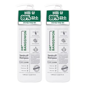 닥터방기원 댄드러프 비듬케어 탈모샴푸, 1L, 2개