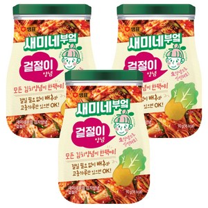 새미네부엌 겉절이 양념, 90g, 3개