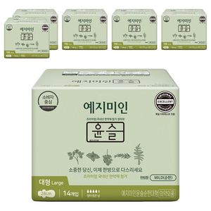 예지미인 윤슬 순한순면 생리대 날개형, 대형, 14개입, 6개
