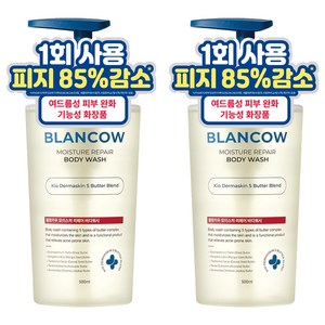 블랑카우 BHA 여드름 기능성 바디워시, 2개, 500ml 골드박스 특가