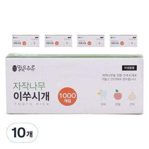 지앤디맑은하루 자작나무 양면 이쑤시개, 10개, 1000개입