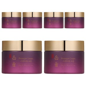 은율 프리미엄 한방 크림, 60g, 6개