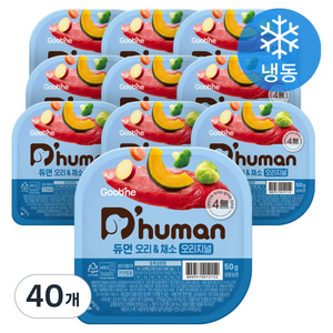 듀먼 전연령용 강아지 오리지널 화식사료, 오리+채소, 50g, 40개
