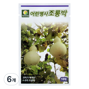 다농 어린병사조롱박 씨앗 10p, 6개