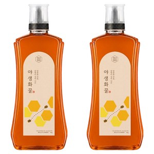 청년벌집 야생화꿀, 1kg, 2개