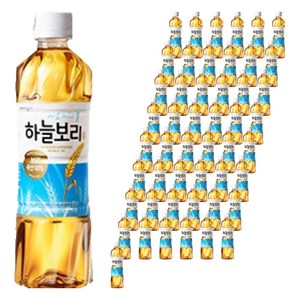 하늘보리, 500ml, 100개