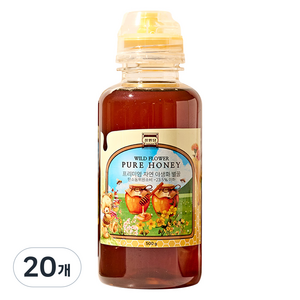 정원담 프리미엄 자연 야생화 순수 벌꿀, 20개, 500g