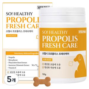 비타파우 강아지 프로폴리스 항산화 구강 영양제, 5개, 호흡기/기관지, 120g